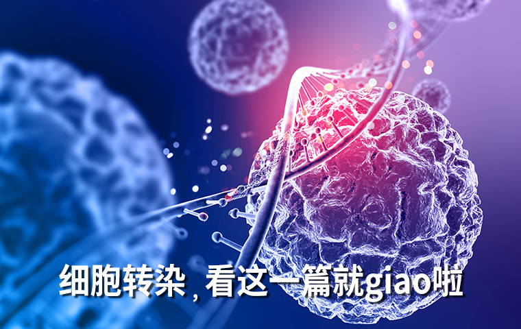 你想了解的“细胞转染”，看这一篇就giao啦！