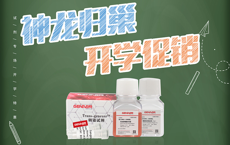 神龙归巢，开学促销！
