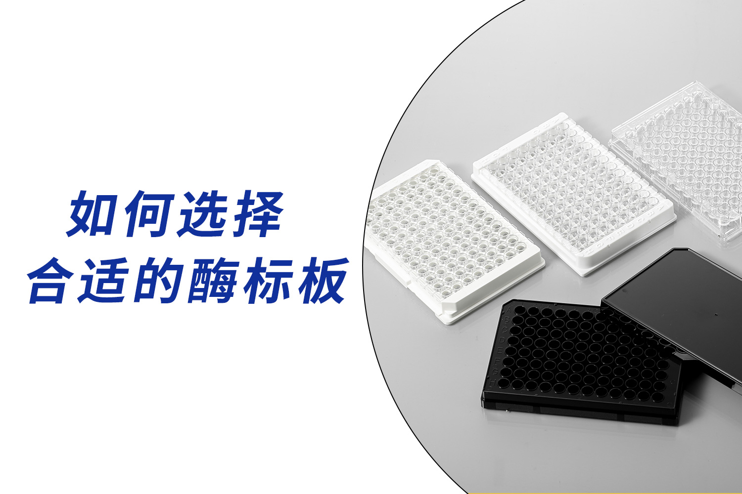 产品介绍 | 如何选择合适的酶标板