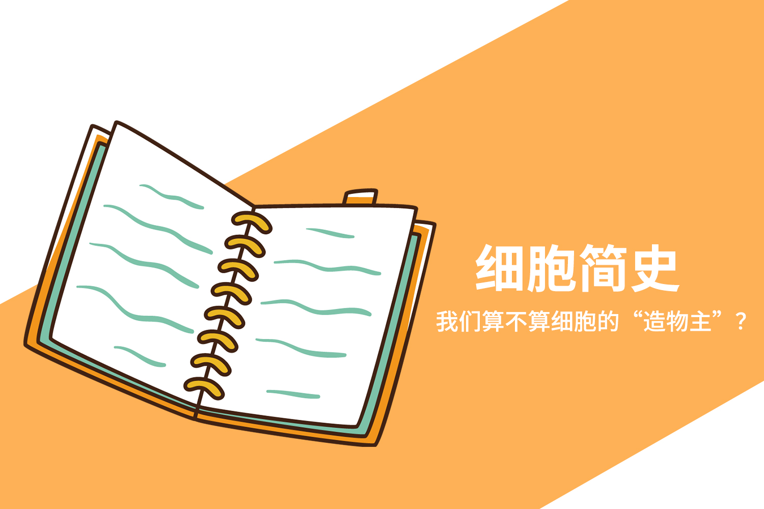 细胞简史：我们算不算细胞的“造物主”？