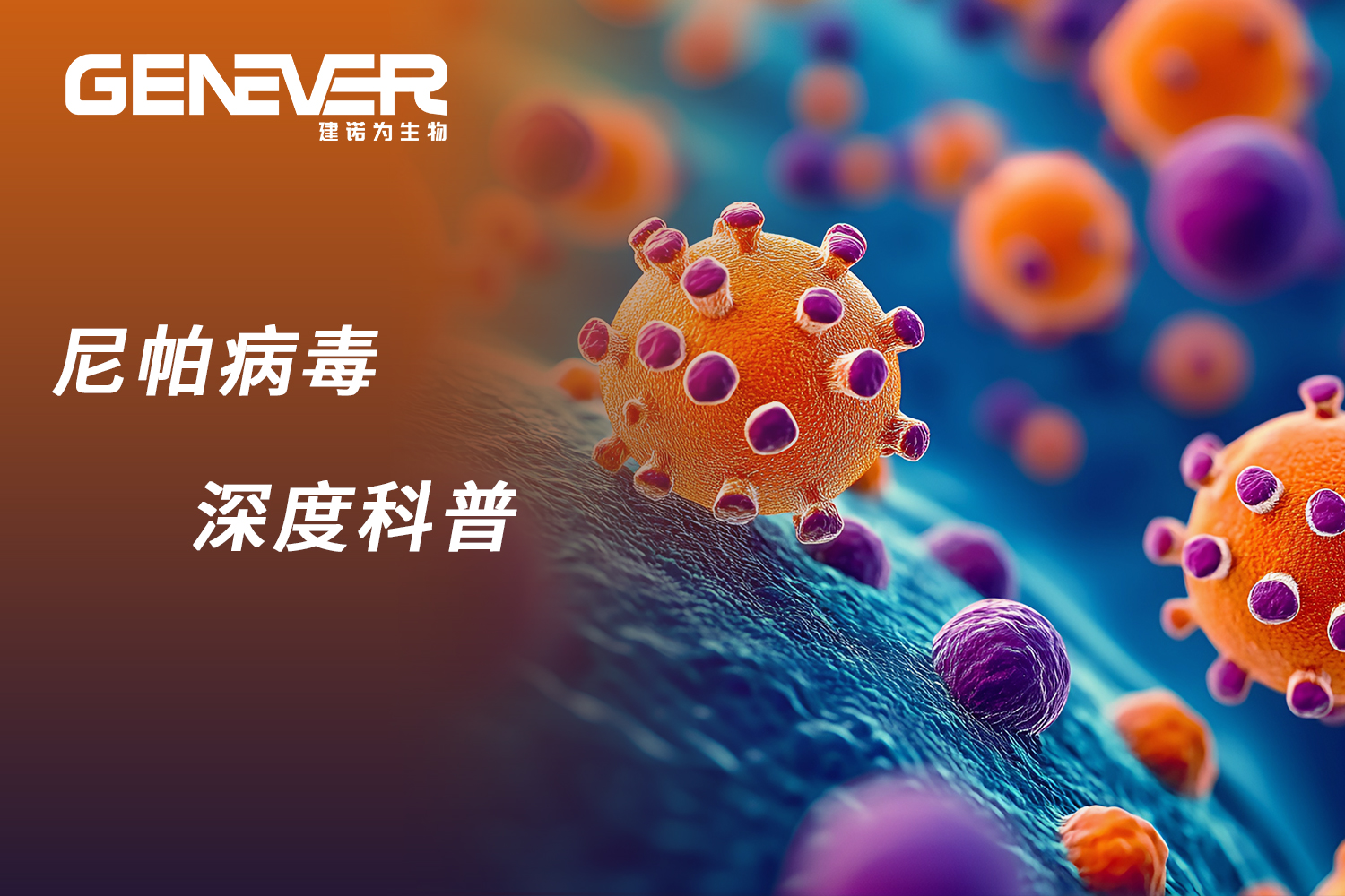 尼帕病毒深度科普：致病机制+传播路径+全方位防护指南