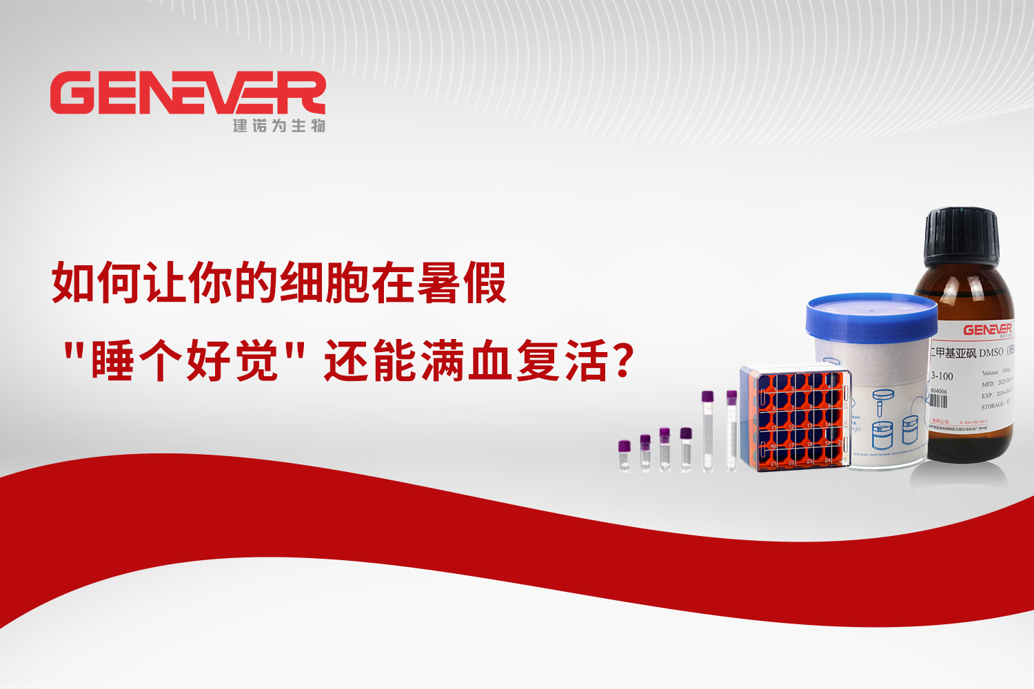 实验室指南 | 如何让你的细胞在暑假 "睡个好觉" 还能满血复活？