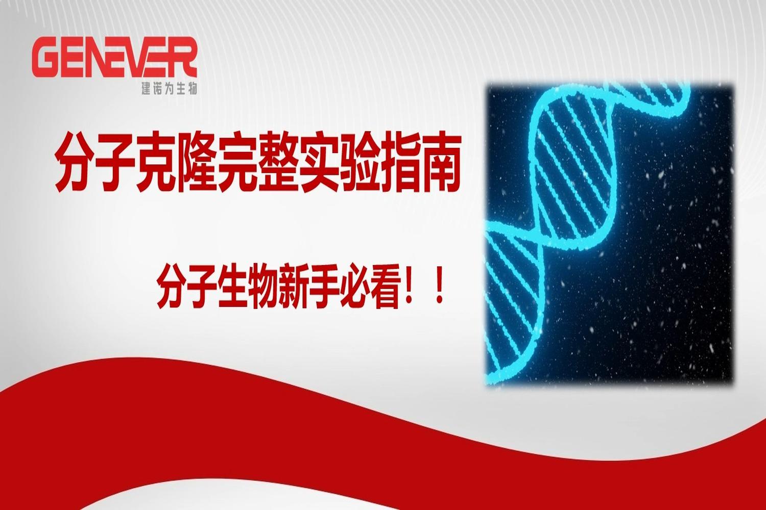 实验室指南｜分子克隆完整实验指南，新手必看！！