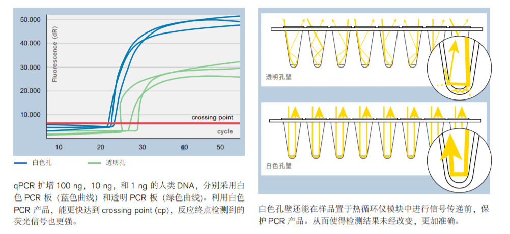 图片 6.png