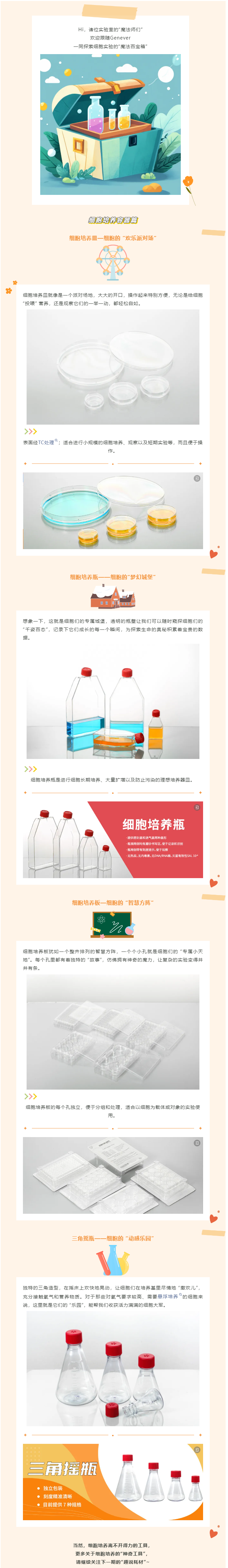 QQ截图20241223085806.png